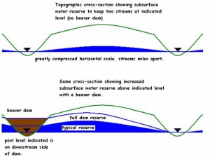 Streamflow | Beaver Dam Information Site